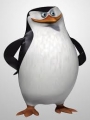 Taniec pingwina na szkle - czyli 10 najlepszych pingwinów ekranu i nie tylko